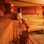 Dorint Wellness Sauna