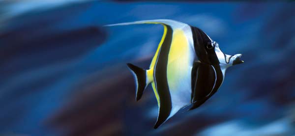 Erlebnis-Aquarium Palma de Mallorca